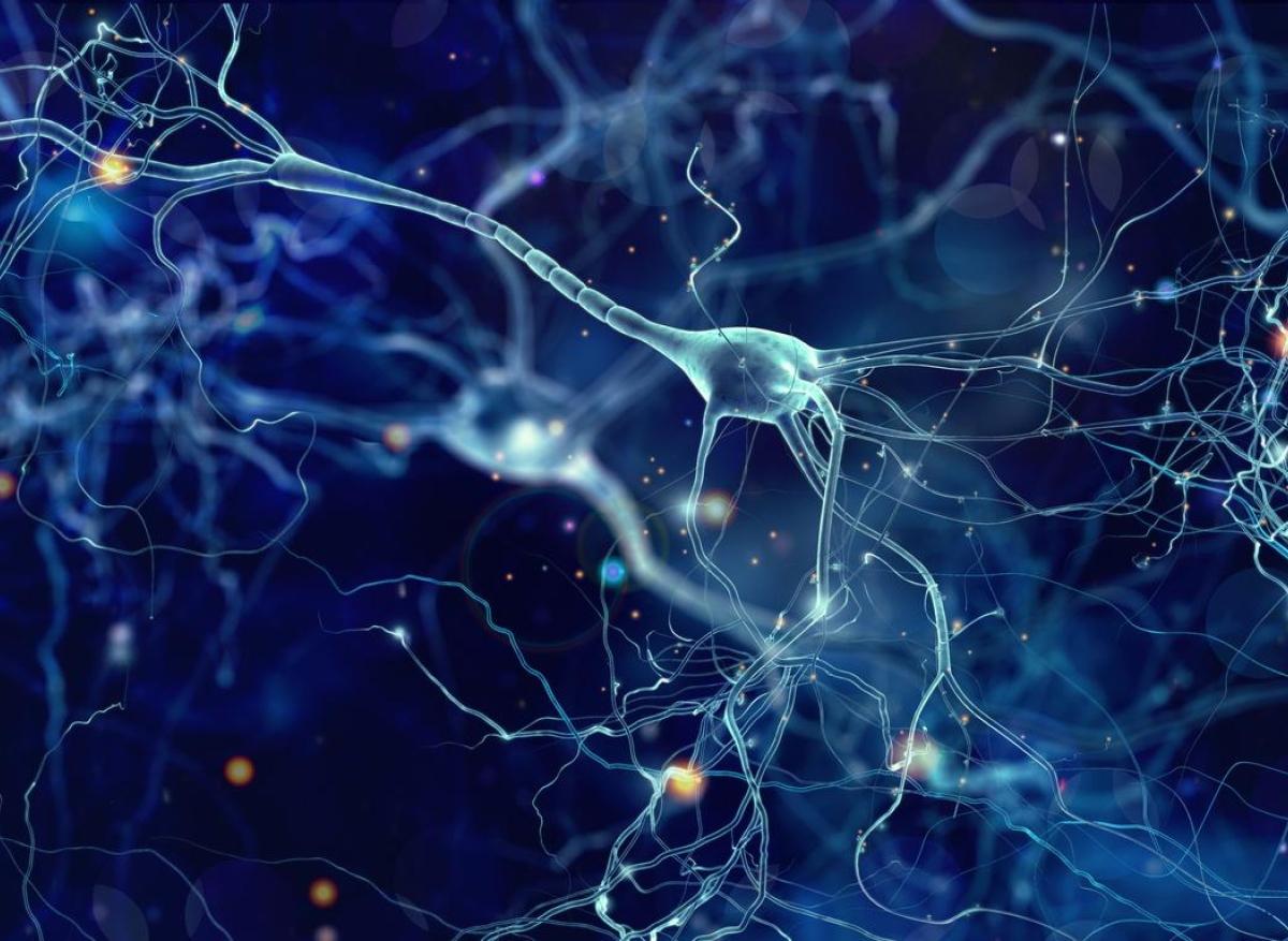 Maladie de Parkinson : changement de paradigme ?