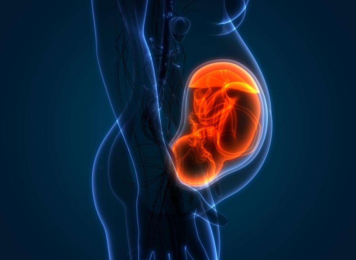 Tumeurs du placenta : efficacité confirmée de l’immunothérapie