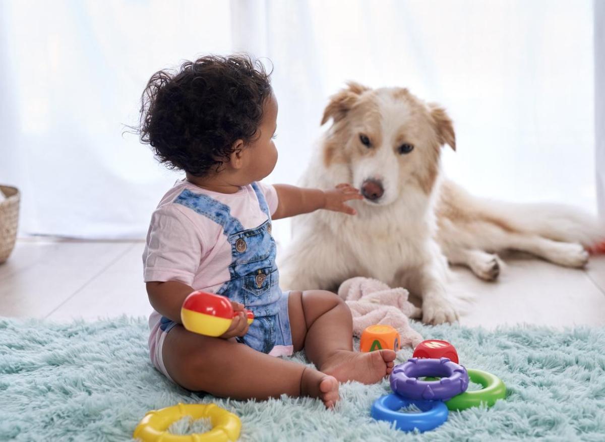 Allergie de l’enfant : un animal domestique comme solution ?