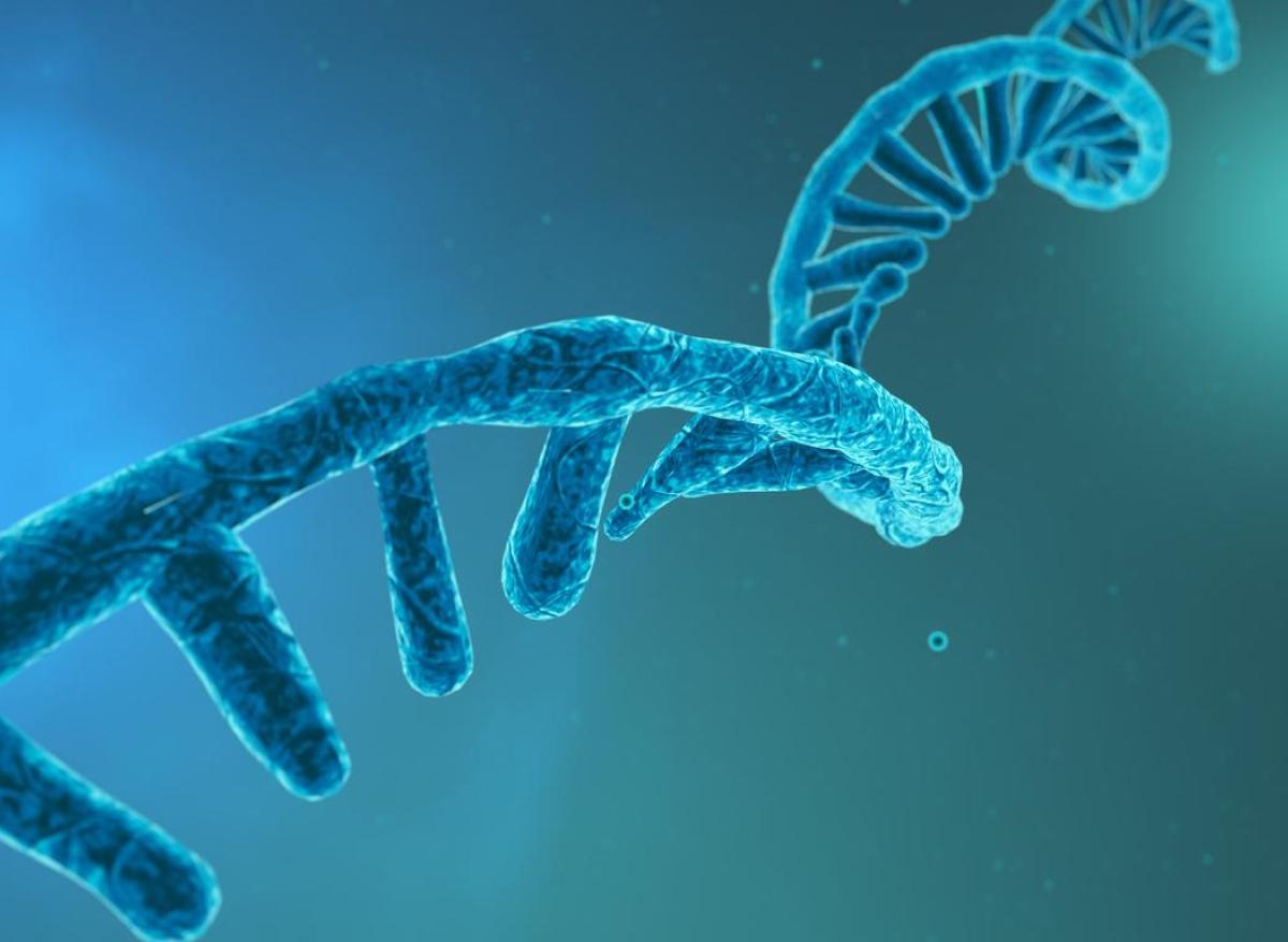 Covid-19, cancer... : les promesses de l'ARN auto-amplificateur