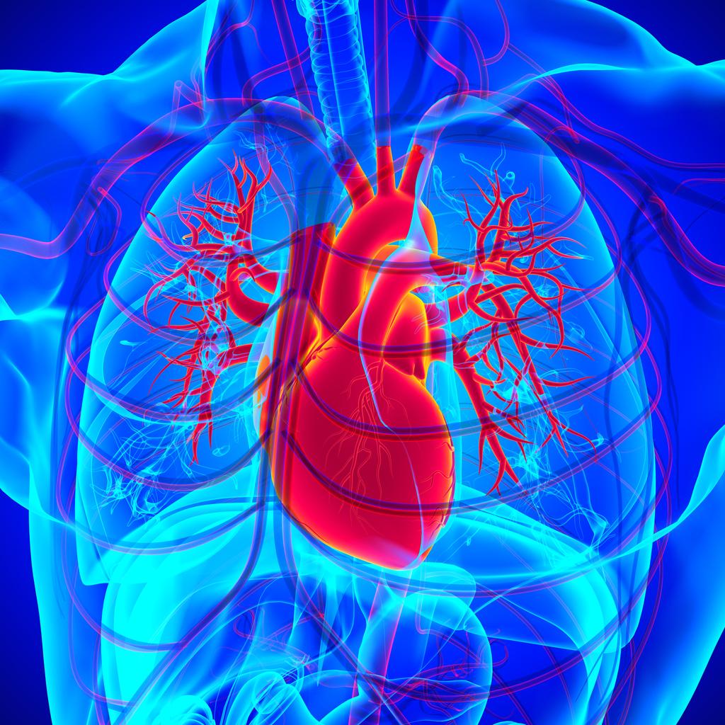 Maladies cardiovasculaires : un risque accru plusieurs années avant un diabète