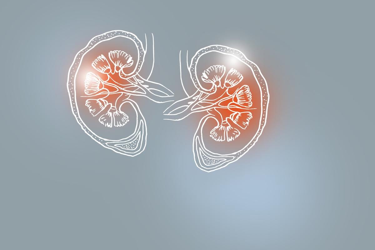 Maladie rénale chronique : bénéfices cardiorénaux persistants après l'arrêt d’une gliflozine 