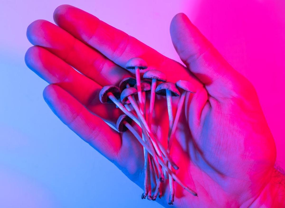 Psilocybine : cette molécule désynchronise plusieurs semaines le cerveau