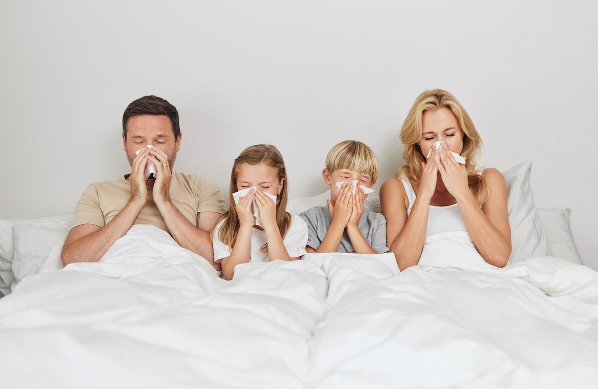 Grippe : un nouvel antiviral réduit la transmission intrafamiliale 