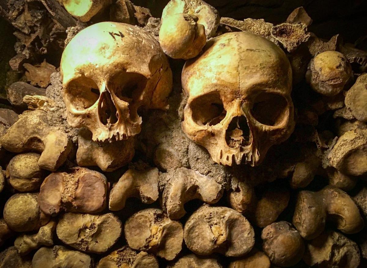 Peste bubonique : elle sévissait en Europe bien avant le Moyen Âge