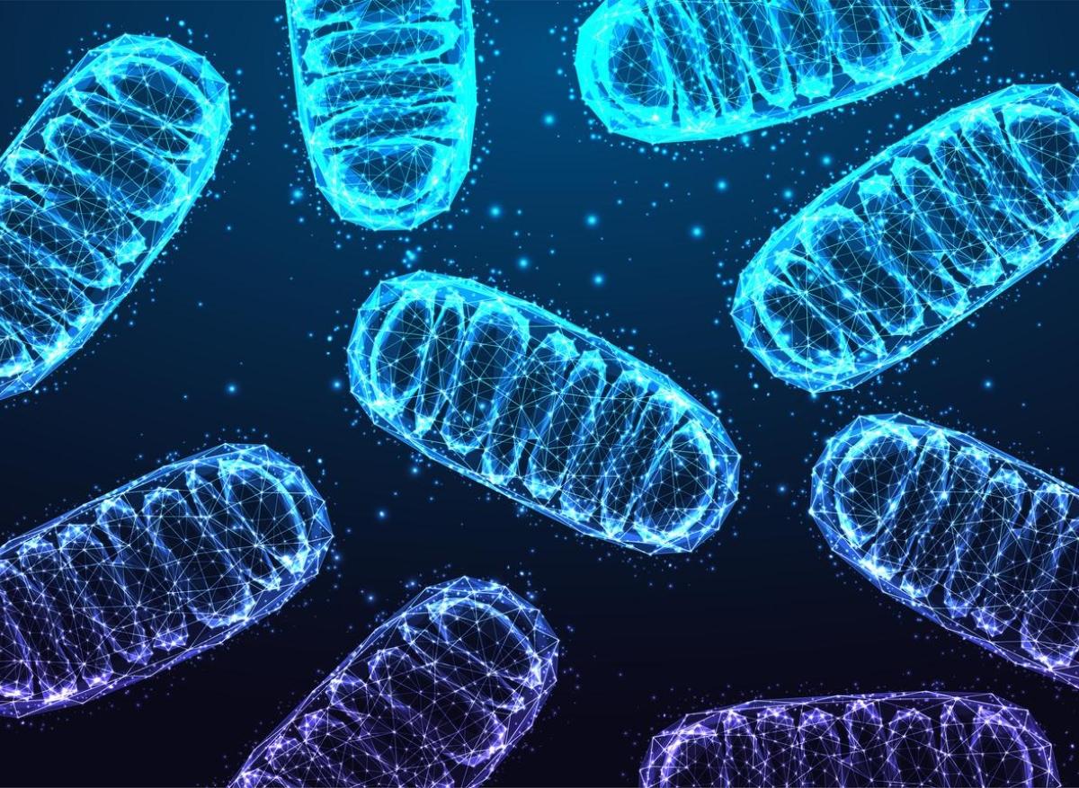 Diabète : la maladie serait liée à un dysfonctionnement des mitochondries