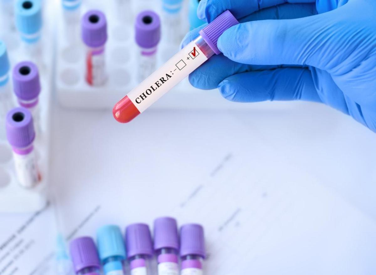Choléra : l’épidémie à Mayotte était liée à une souche résistante