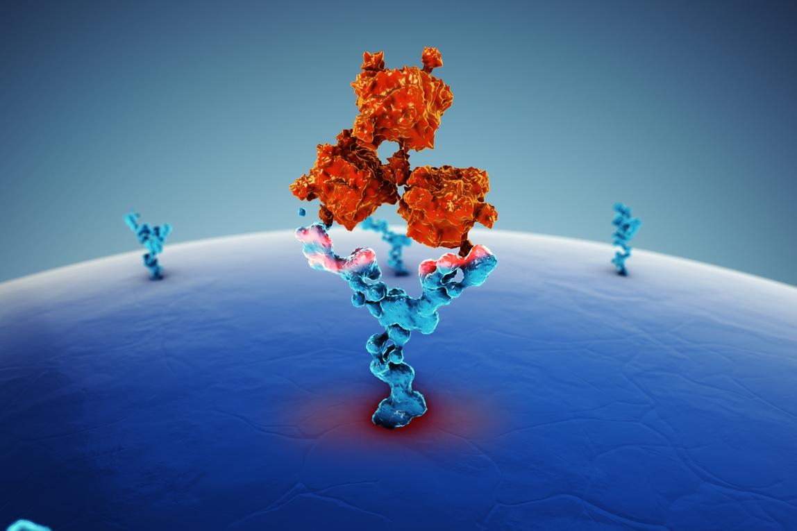 CBNPC : améliorer l'immunothérapie en ciblant les Treg CCR8+