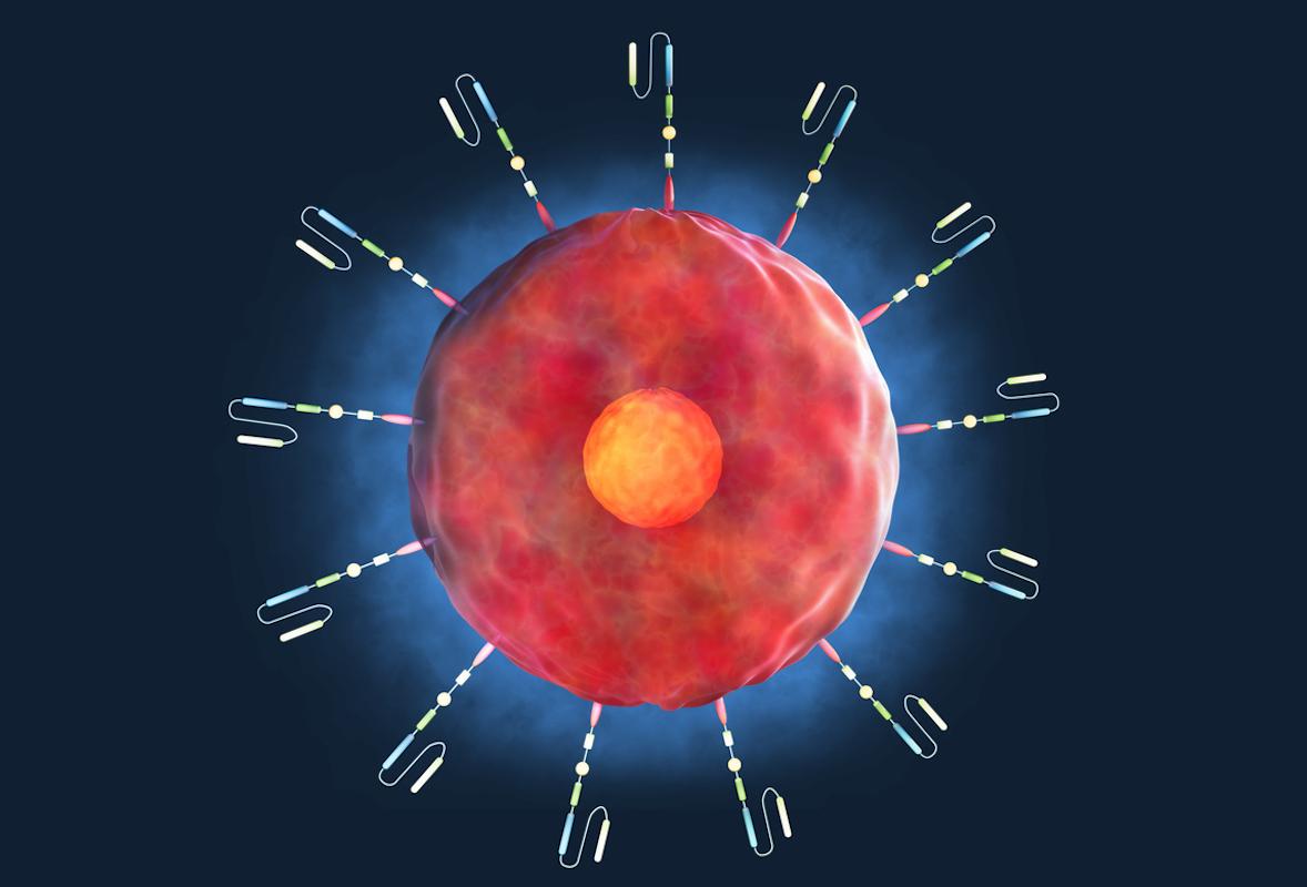 Myélome en rechute : validation d’un CAR-T cell en vraie vie dans un registre américain