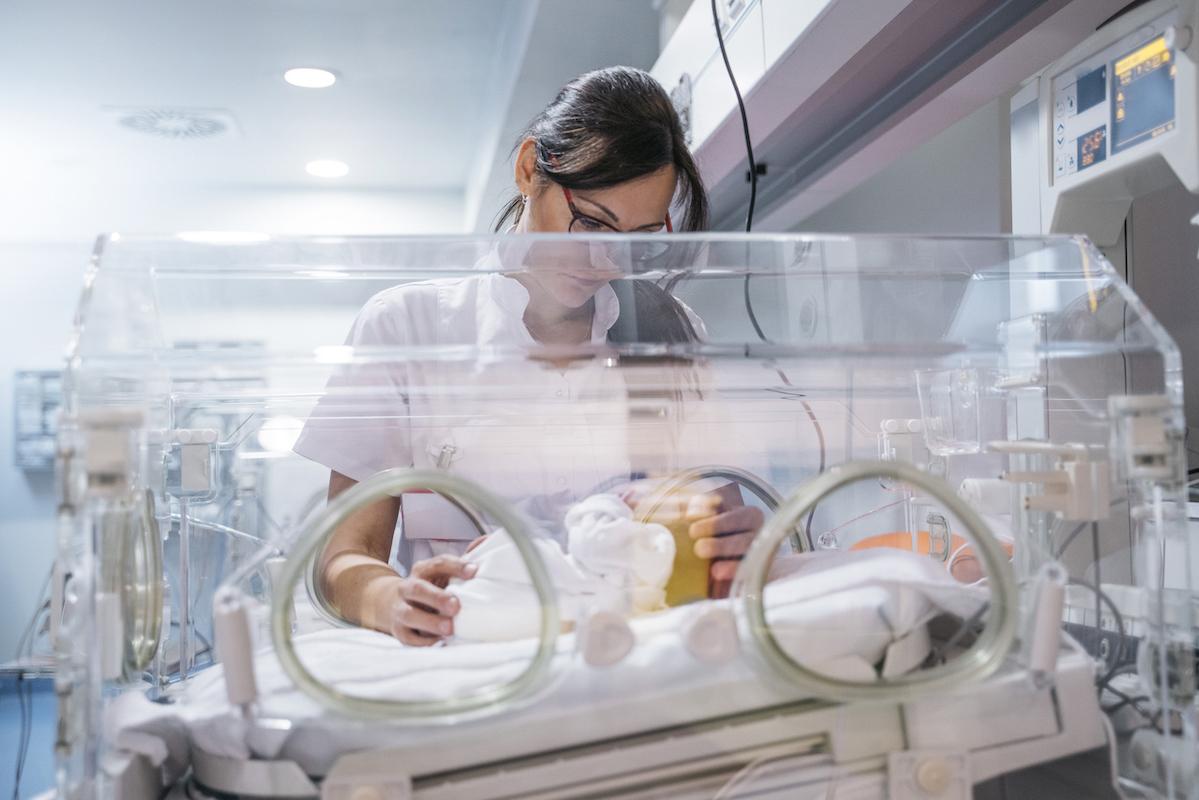 Grands prématurés : le budésonide intratrachéal précoce ne réduit pas le risque de dysplasie bronchopulmonaire 