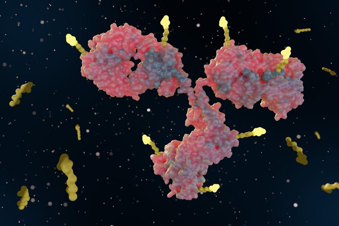Cancer du sein triple négatif : immunothérapie et ADC, une association prometteuse 