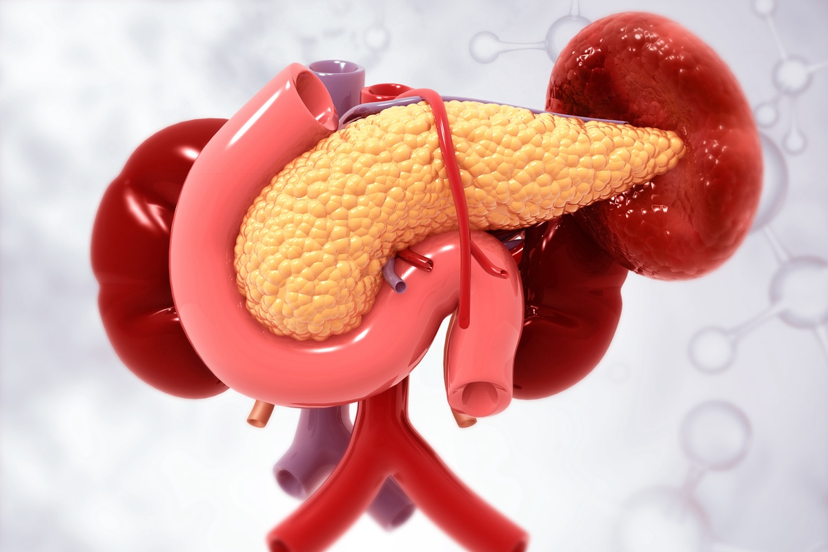 Adénocarcinome du pancréas : surexpression de la Claudine 18.2 comme nouvelle piste ?