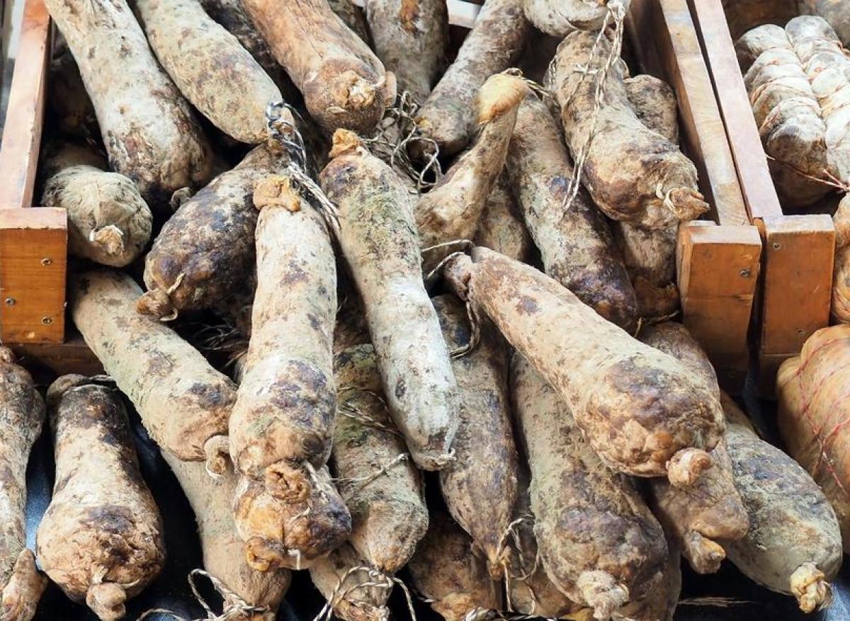 Hépatite E : une maladie dangereuse mais souvent asymptomatique