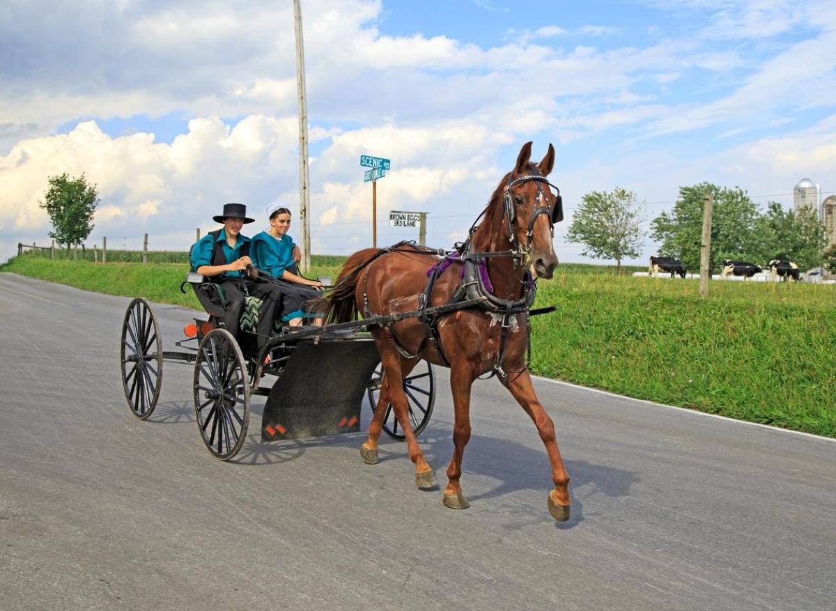 5G et impact sur la santé : les Amish ont-ils tort ou raison ?