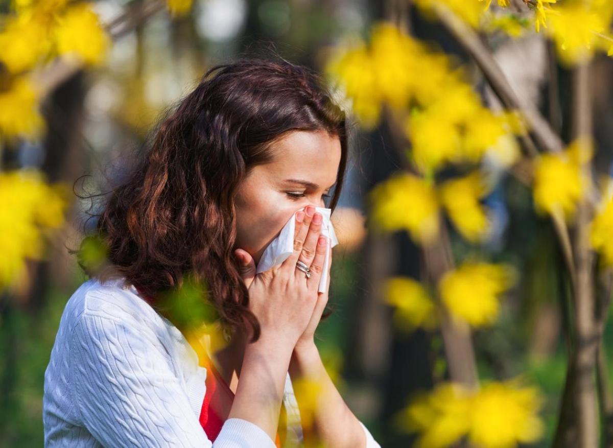 Rhinite allergique : 30 départements déjà dans le rouge pour les pollens