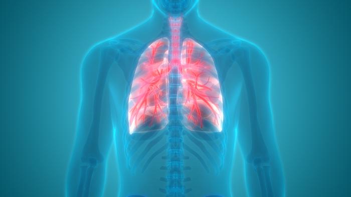 Un médecin français greffe avec succès des trachées artificielles sur 12 patients 