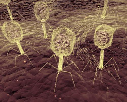 Infection pulmonaire chronique : le retour des bactériophages