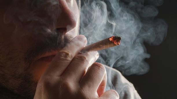 Usage régulier du cannabis : survenue plus précoce du cancer du poumon