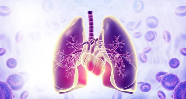  Sarcoïdose : l'inflammation précède le diagnostic de plusieurs années.